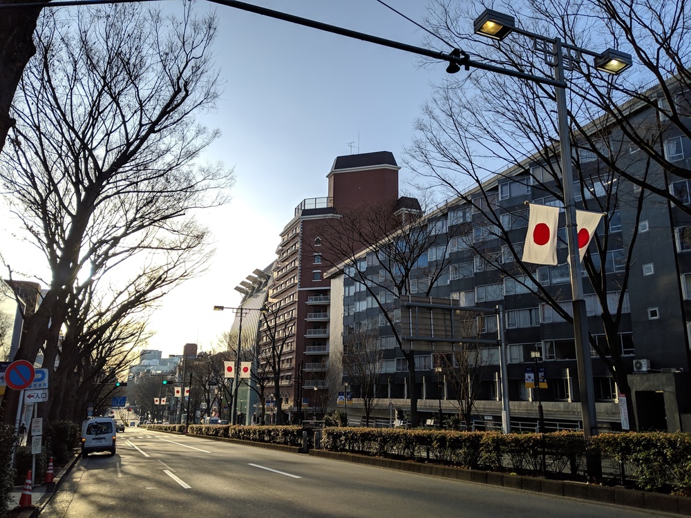 代々木公園から足を伸ばして表参道を独り占めしつつ適度なアップダウンを楽しむコースの写真4