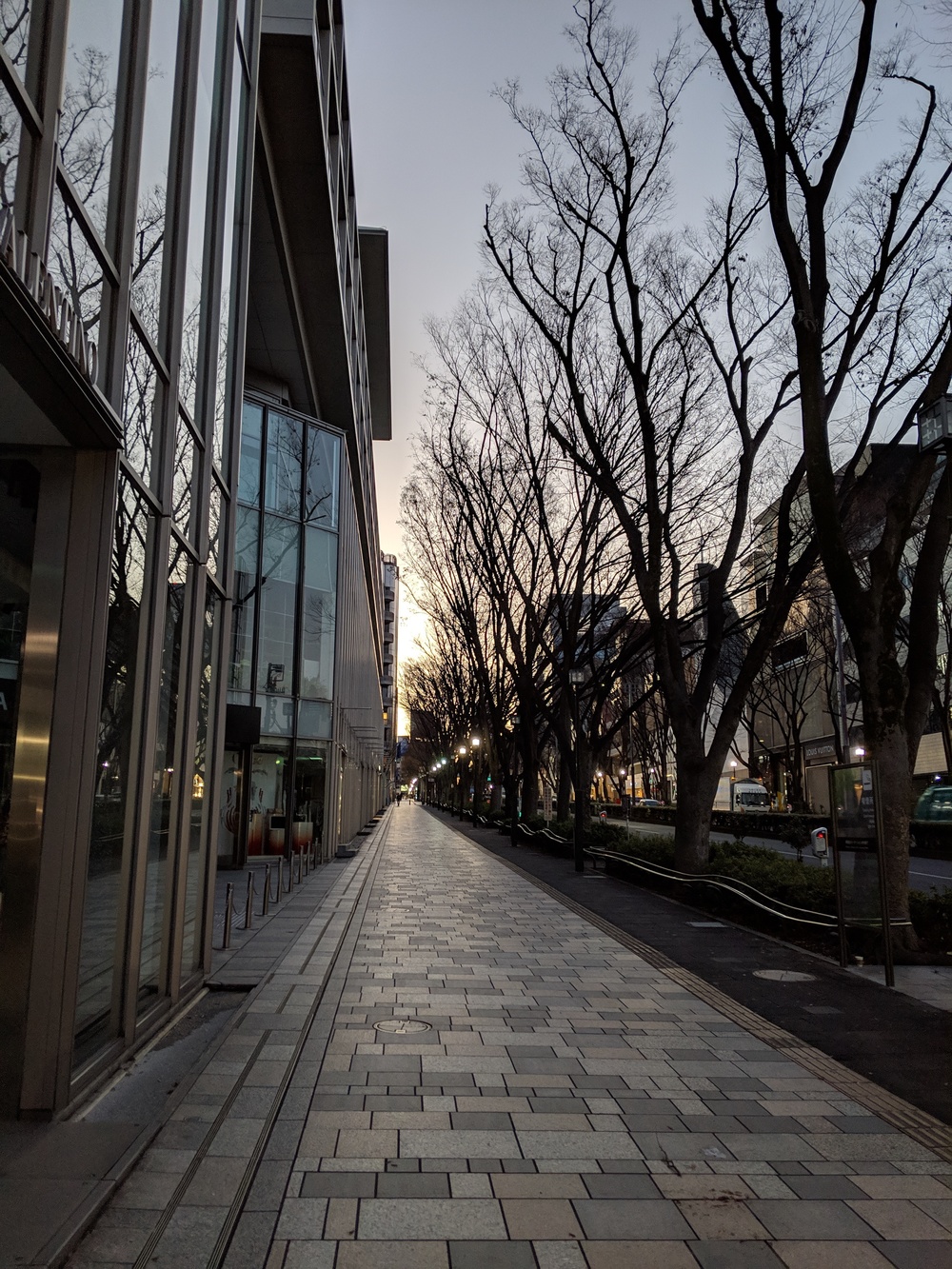 代々木公園から足を伸ばして表参道を独り占めしつつ適度なアップダウンを楽しむコースの写真6