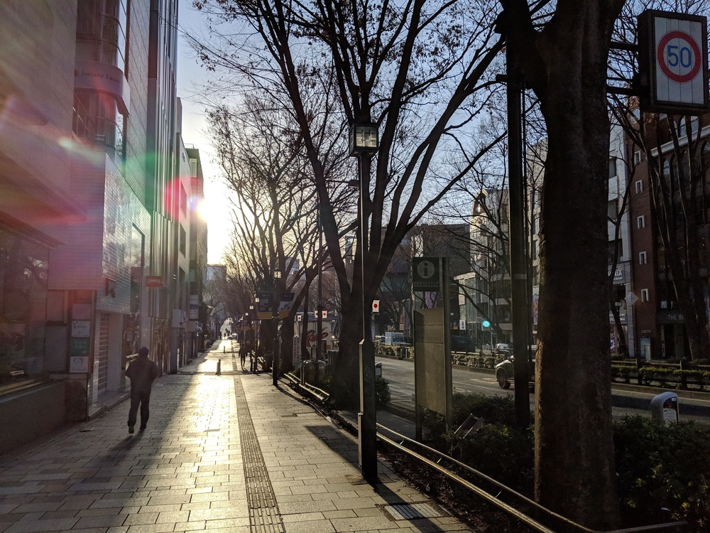 代々木公園から足を伸ばして表参道を独り占めしつつ適度なアップダウンを楽しむコースの写真7