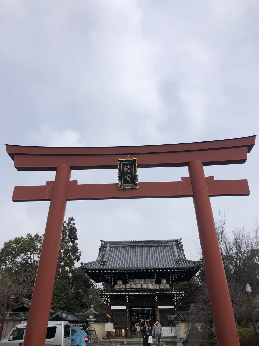 京都市内西部寺社仏閣コースの写真5