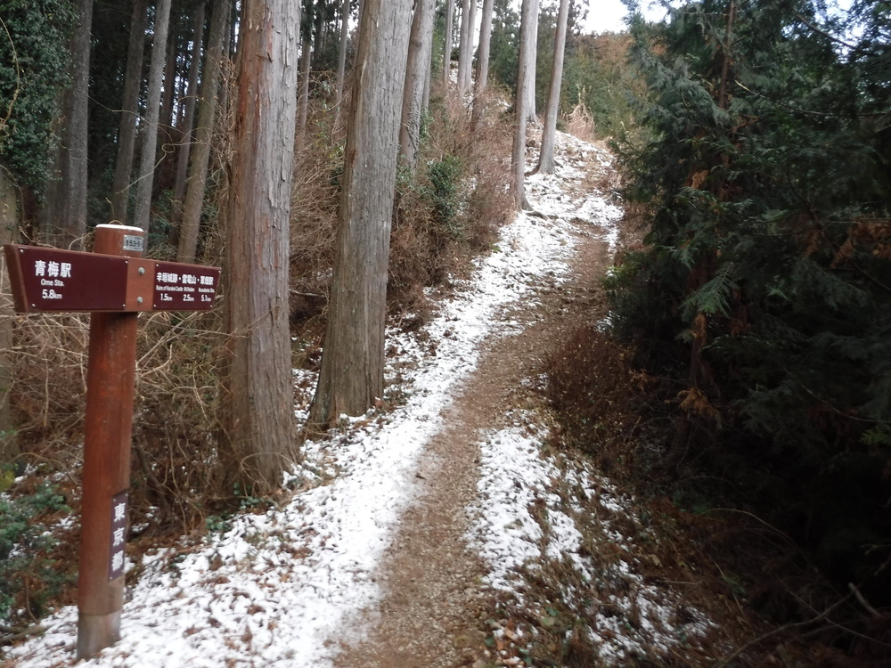 青梅丘陵からトレイルで利き酒に行こうの写真4