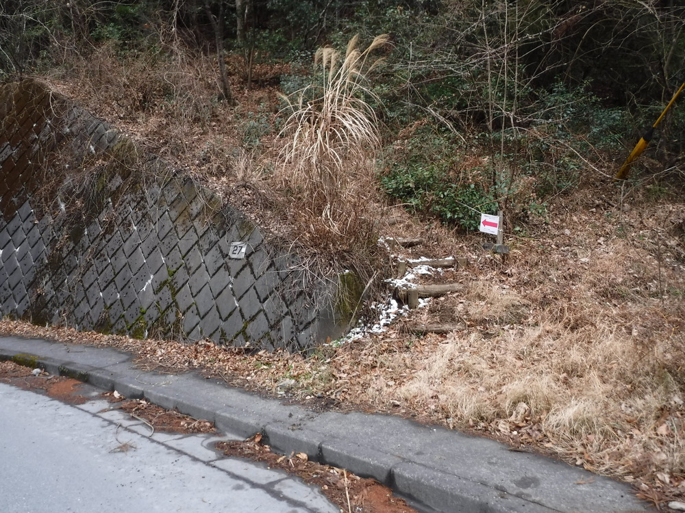 青梅丘陵からトレイルで利き酒に行こうの写真6