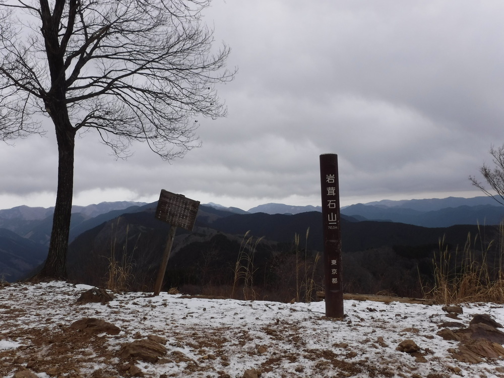 青梅丘陵からトレイルで利き酒に行こうの写真8