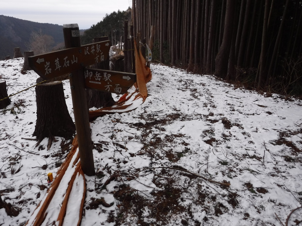 青梅丘陵からトレイルで利き酒に行こうの写真10