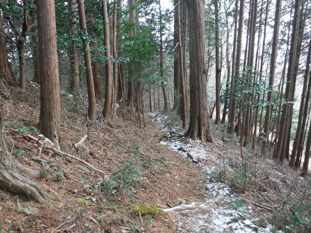 青梅丘陵からトレイルで利き酒に行こうの写真11