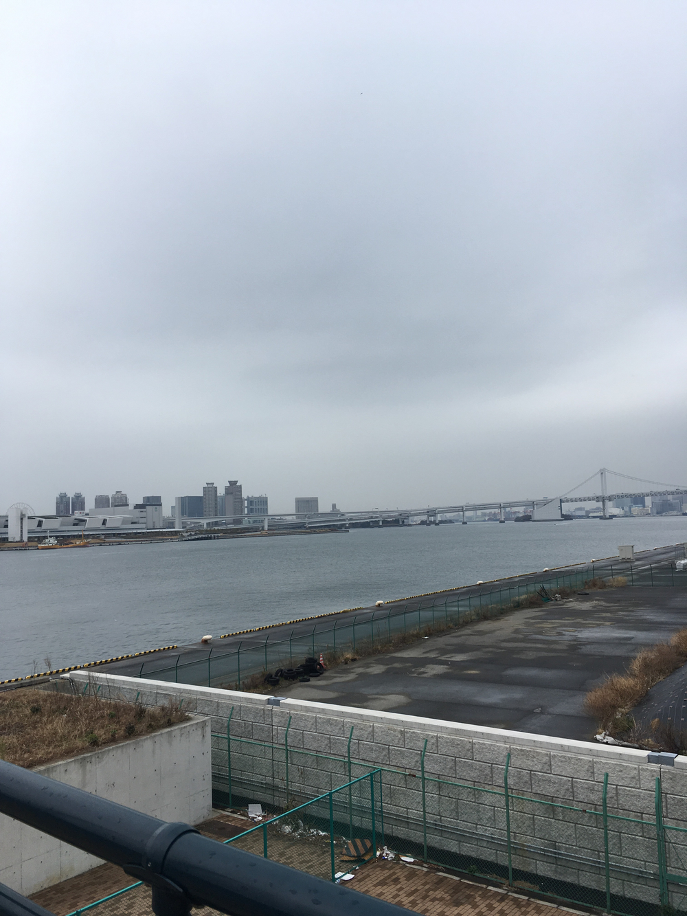 新道路観光の写真7