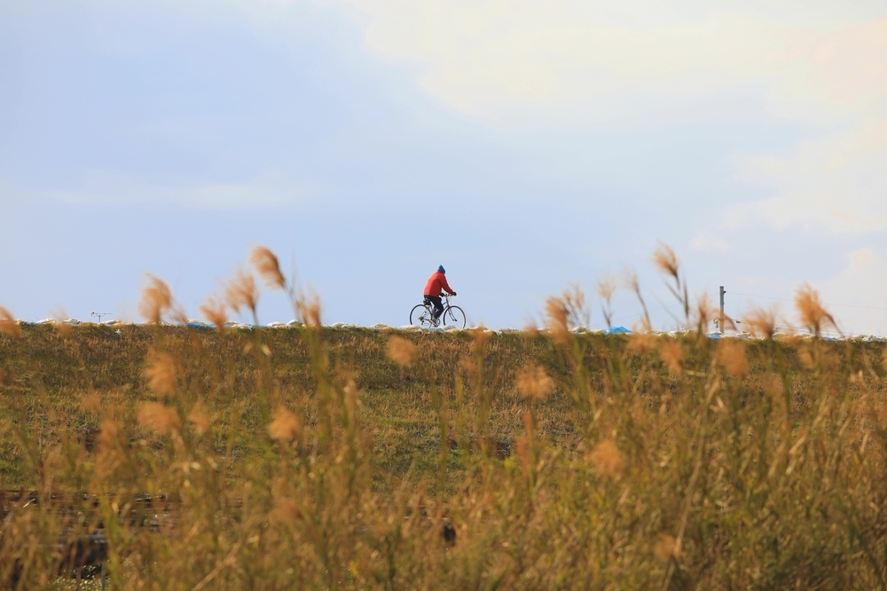 「流れ橋」を目指してまっしぐらの写真3