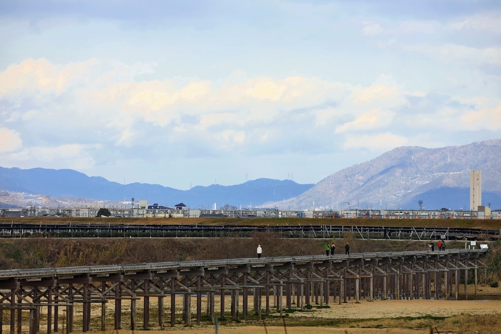 「流れ橋」を目指してまっしぐらの写真4