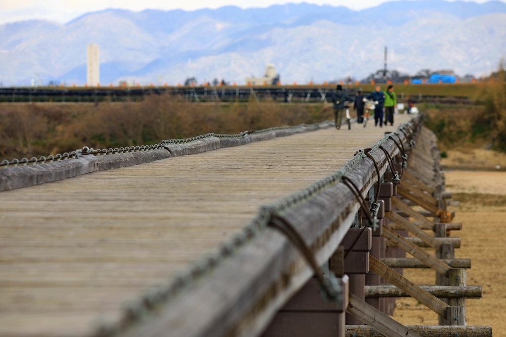 「流れ橋」を目指してまっしぐらの写真5