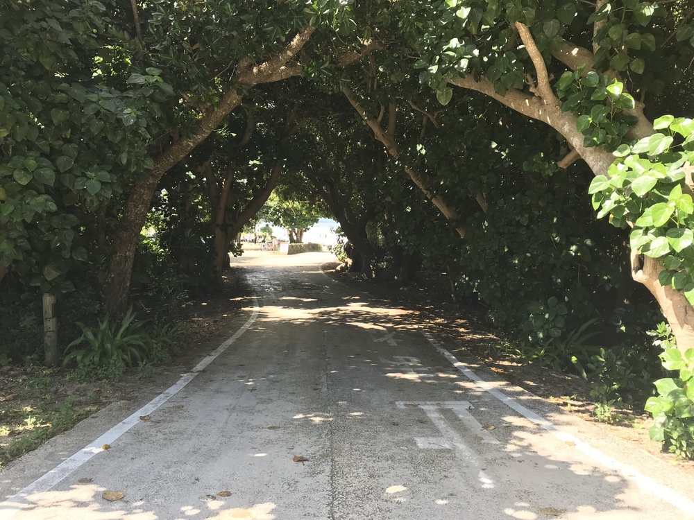 【竹富島】名所巡りランの写真3