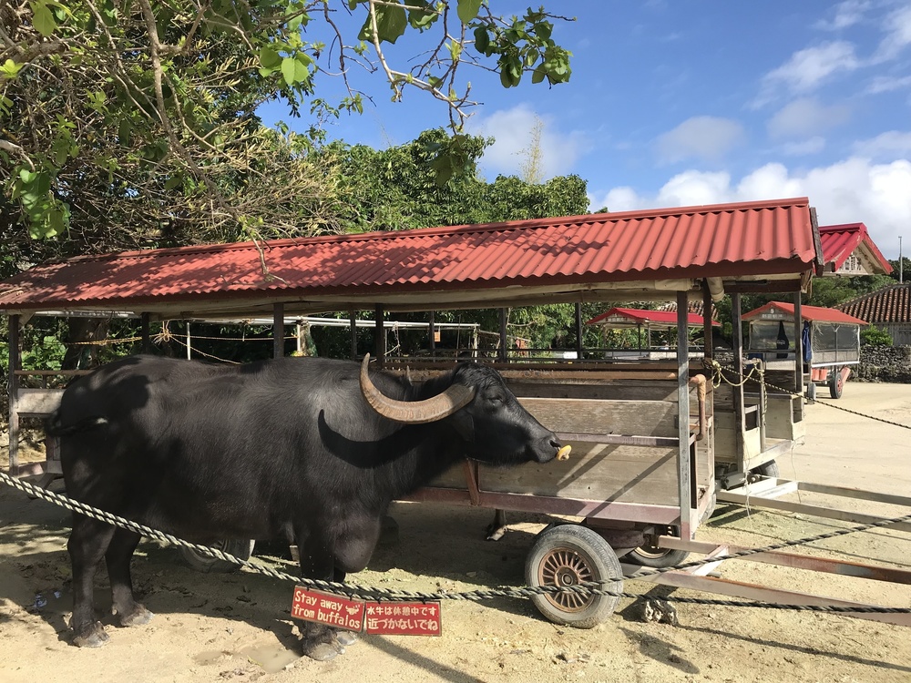 【竹富島】名所巡りランの写真9