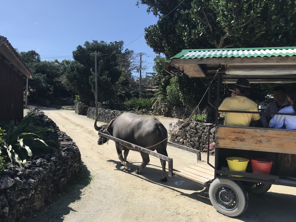 【竹富島】名所巡りランの写真10