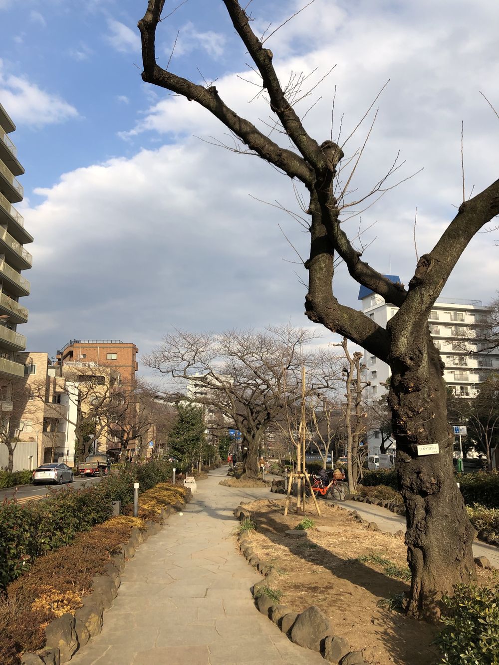 文の京（ふみのみやこ）金栗四三　青春の地巡りの写真6