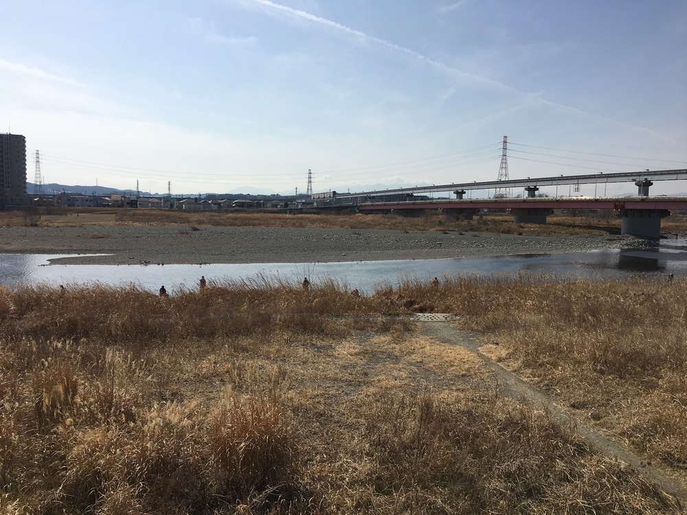 酒造のビールとセツブンソウの写真3