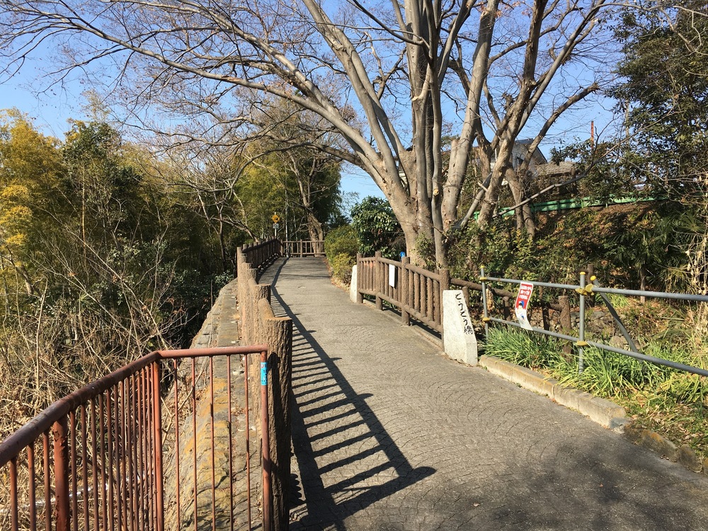 酒造のビールとセツブンソウの写真4