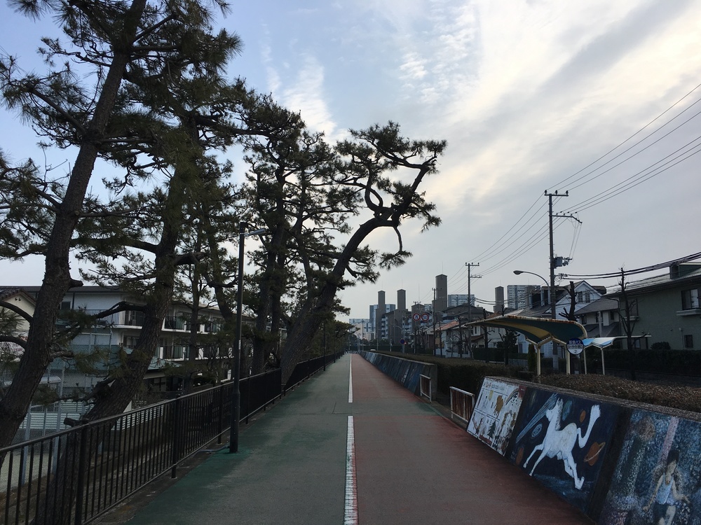 芦屋ファンラン 10キロコースの写真3