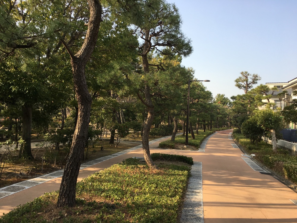 芦屋ファンラン 10キロコースの写真6