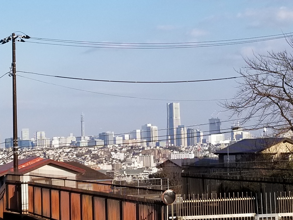 本厚木～横浜RUN🏃‍♂️🏃‍♀️💨の写真5