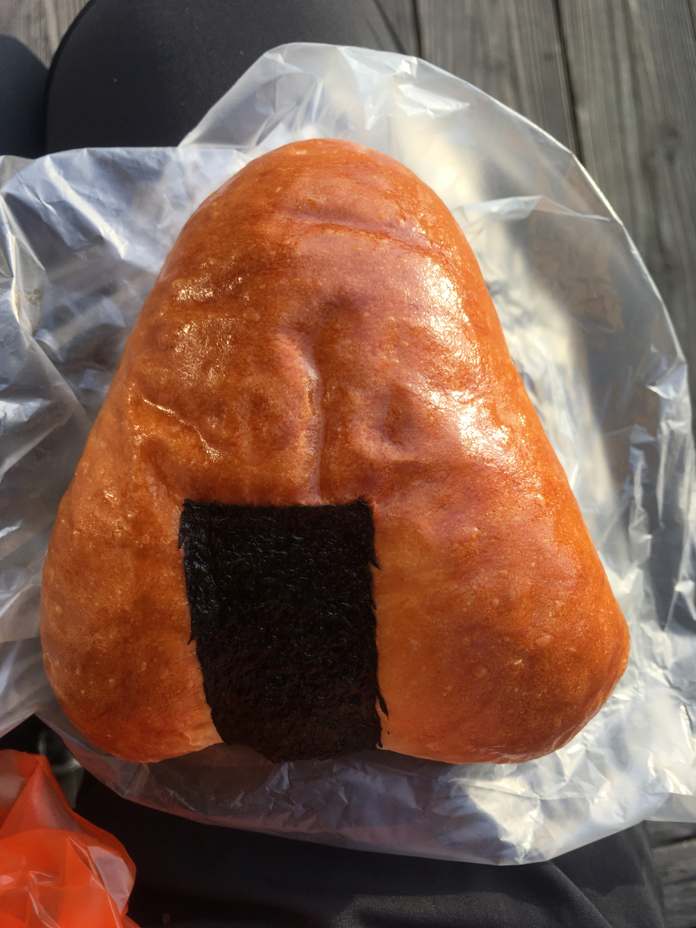 FREE11 桂浜からはりまや橋の写真6