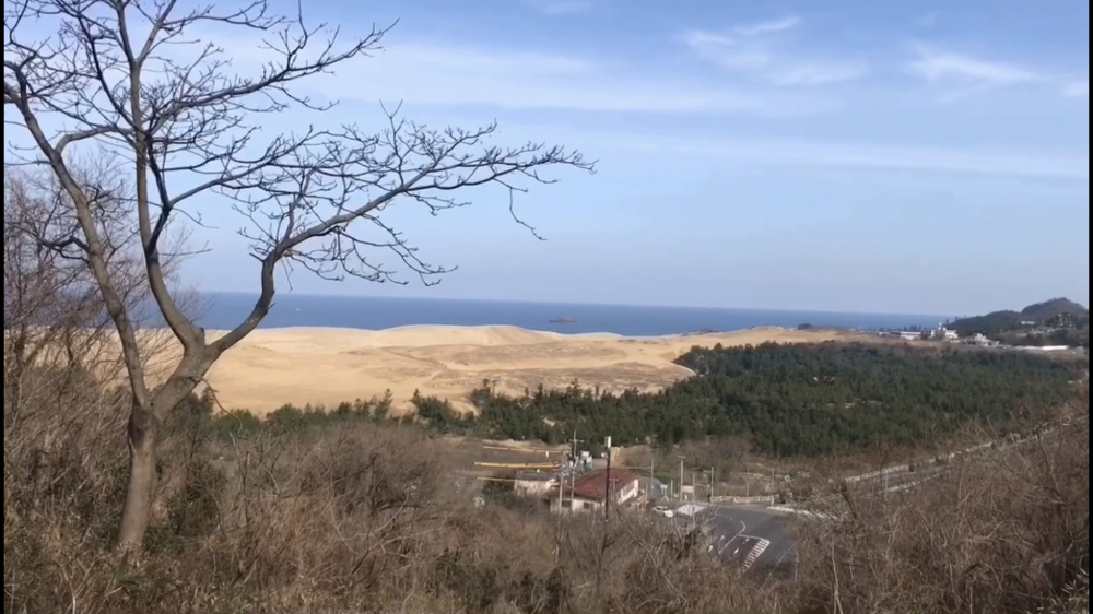 【散策ジョグ】鳥取砂丘とその周辺　どんどん景色が変わるコース！の写真7