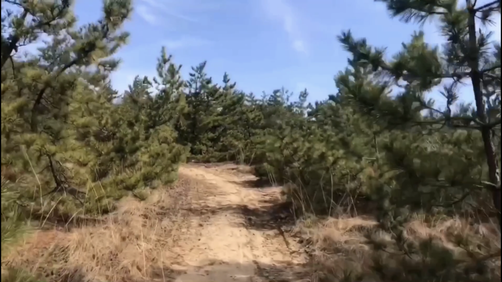 【散策ジョグ】鳥取砂丘とその周辺　どんどん景色が変わるコース！の写真8