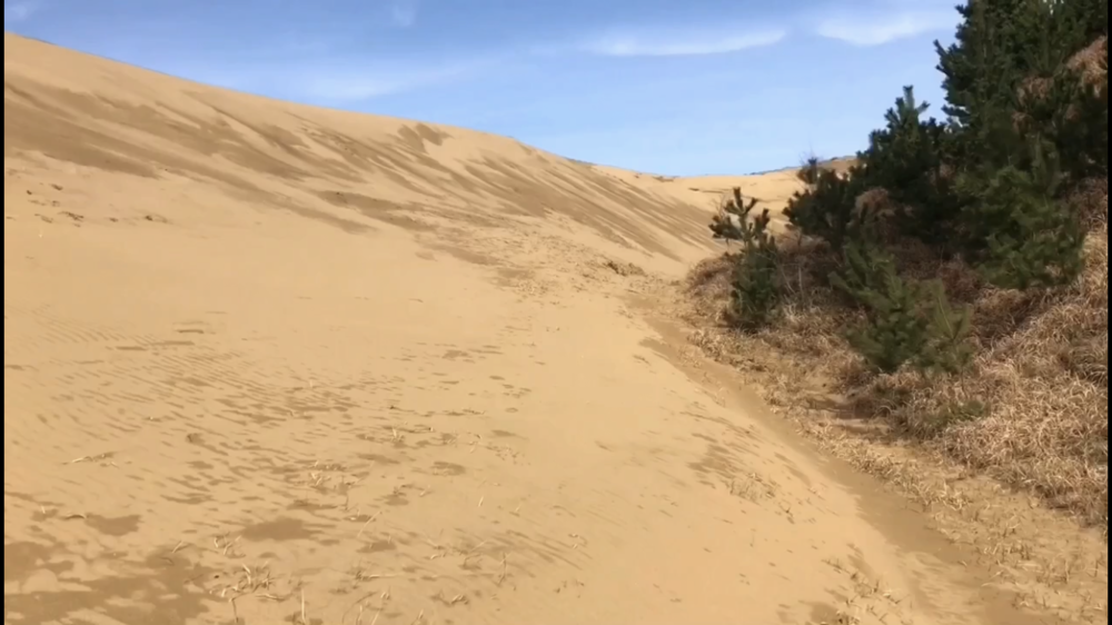 【散策ジョグ】鳥取砂丘とその周辺　どんどん景色が変わるコース！の写真9