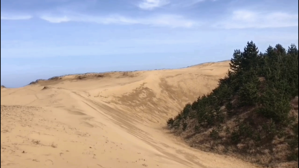 【散策ジョグ】鳥取砂丘とその周辺　どんどん景色が変わるコース！の写真10