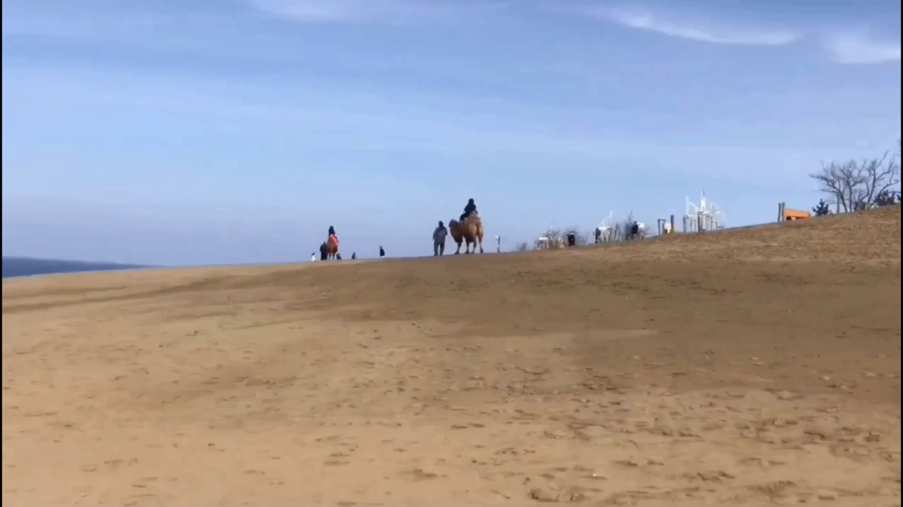 【散策ジョグ】鳥取砂丘とその周辺　どんどん景色が変わるコース！の写真11