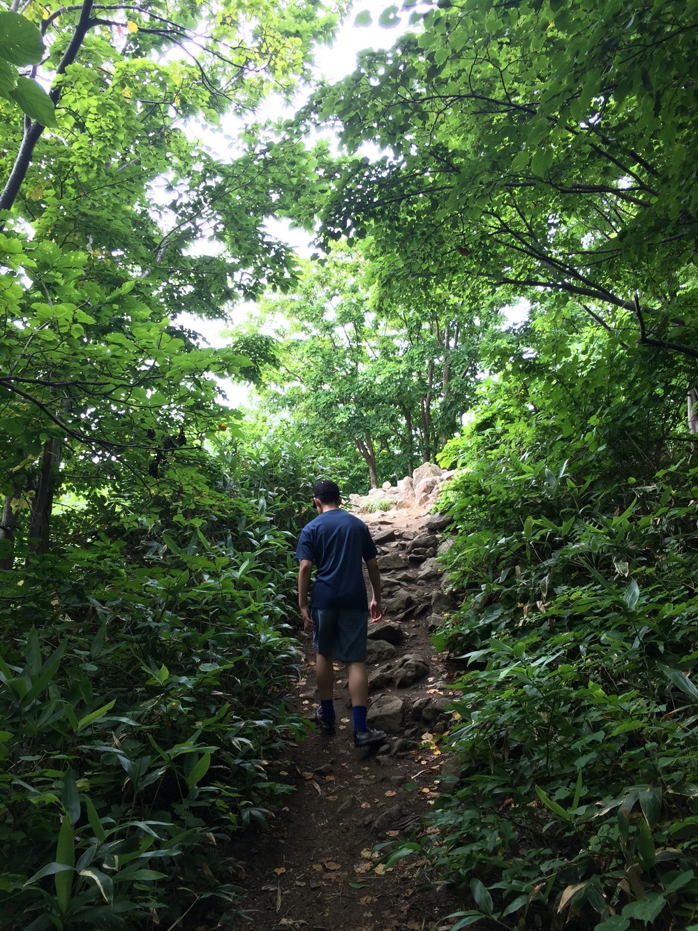 アクセス良好・三角山（札幌）の写真3