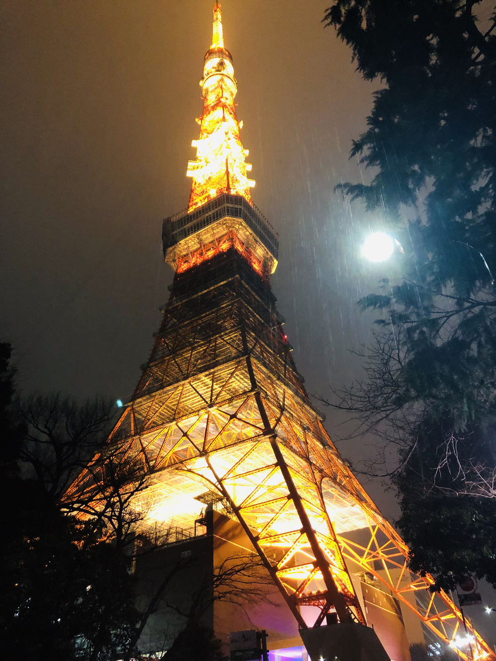 クリスマス以外も楽しめるイルミランの写真3