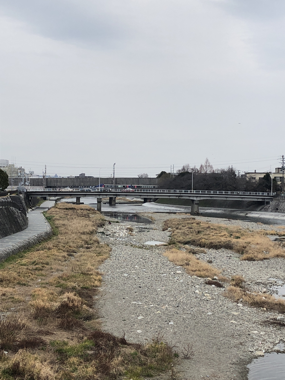 京都賀茂川ランの写真3