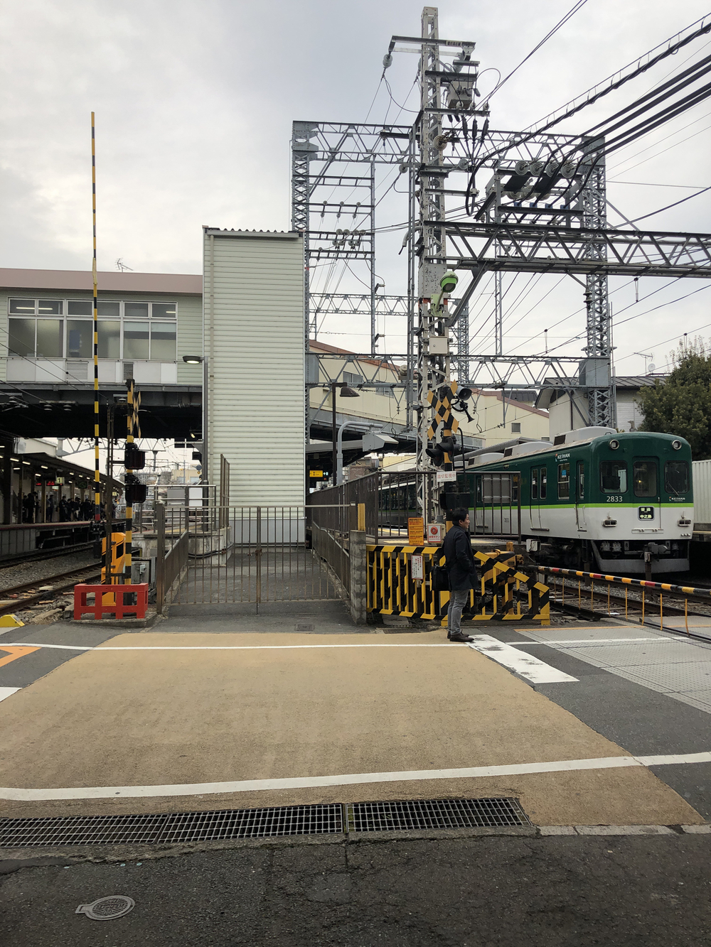 京都賀茂川ランの写真4