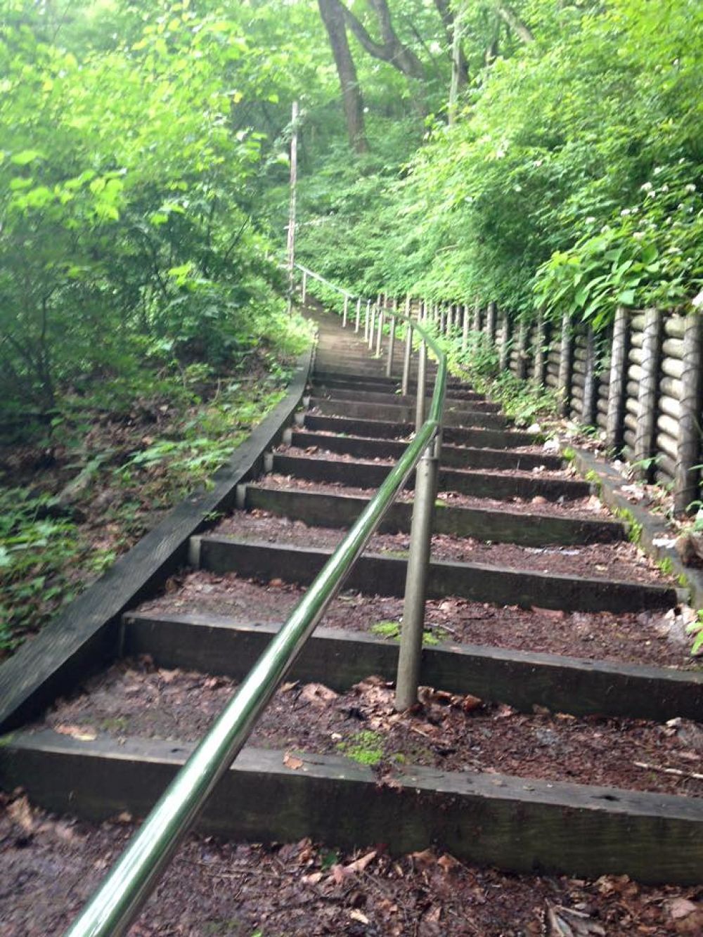 伊香保温泉で森林浴ラン５kmの写真3