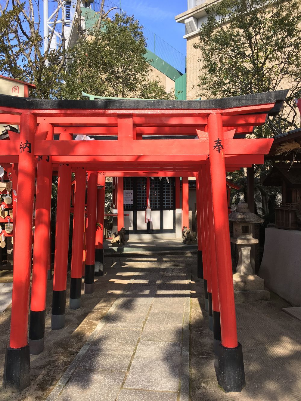 潮芦屋から聖地甲子園球場への写真12