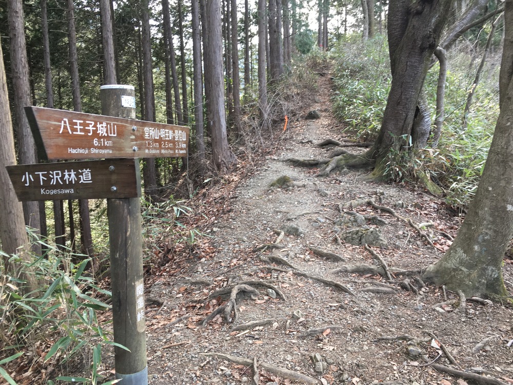 高尾の小下沢林道から景信山周回の写真5