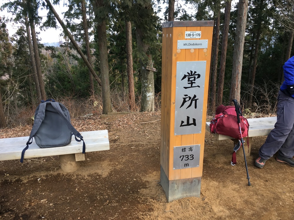 高尾の小下沢林道から景信山周回の写真6