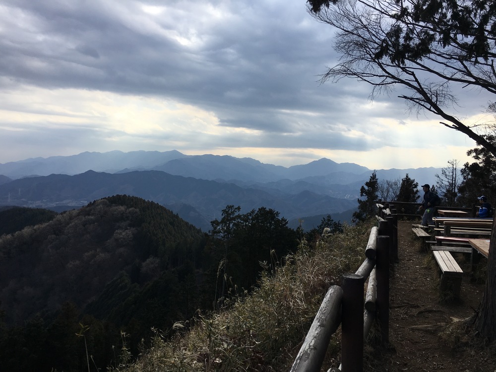 高尾の小下沢林道から景信山周回の写真8