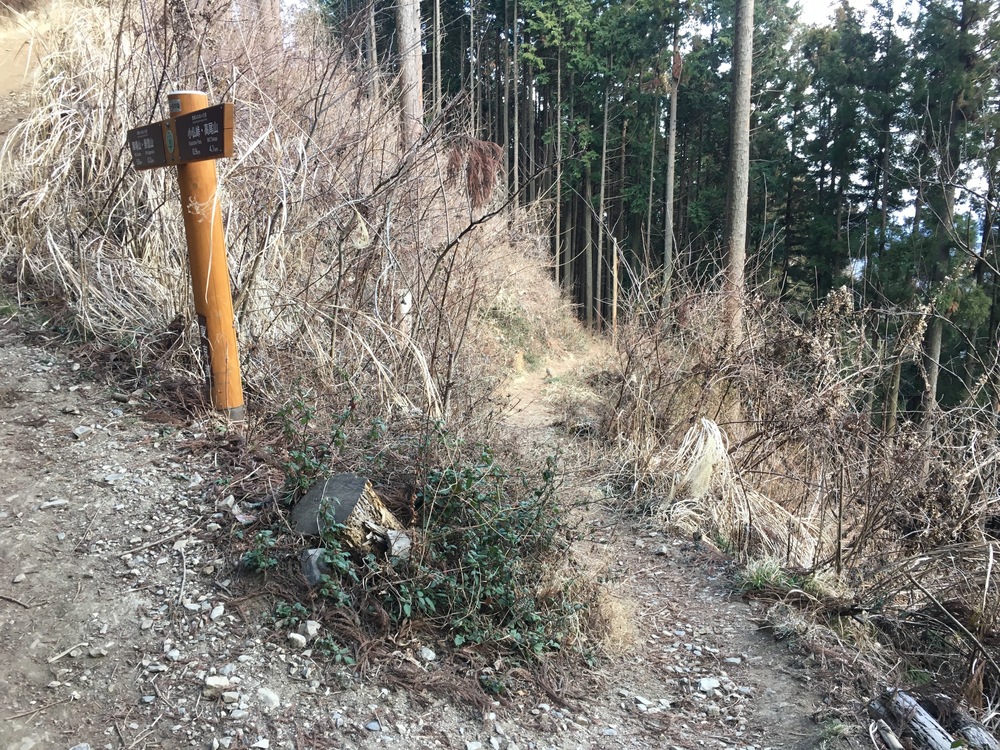 高尾の小下沢林道から景信山周回の写真9