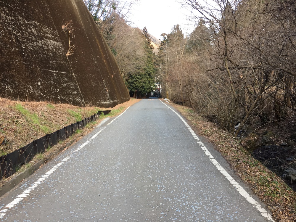 高尾の小下沢林道から景信山周回の写真11