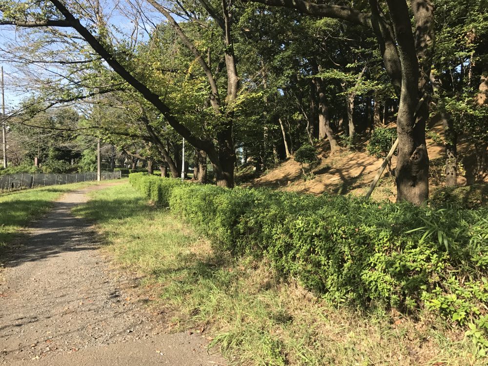 地元住民に愛される Flower Roadの写真4