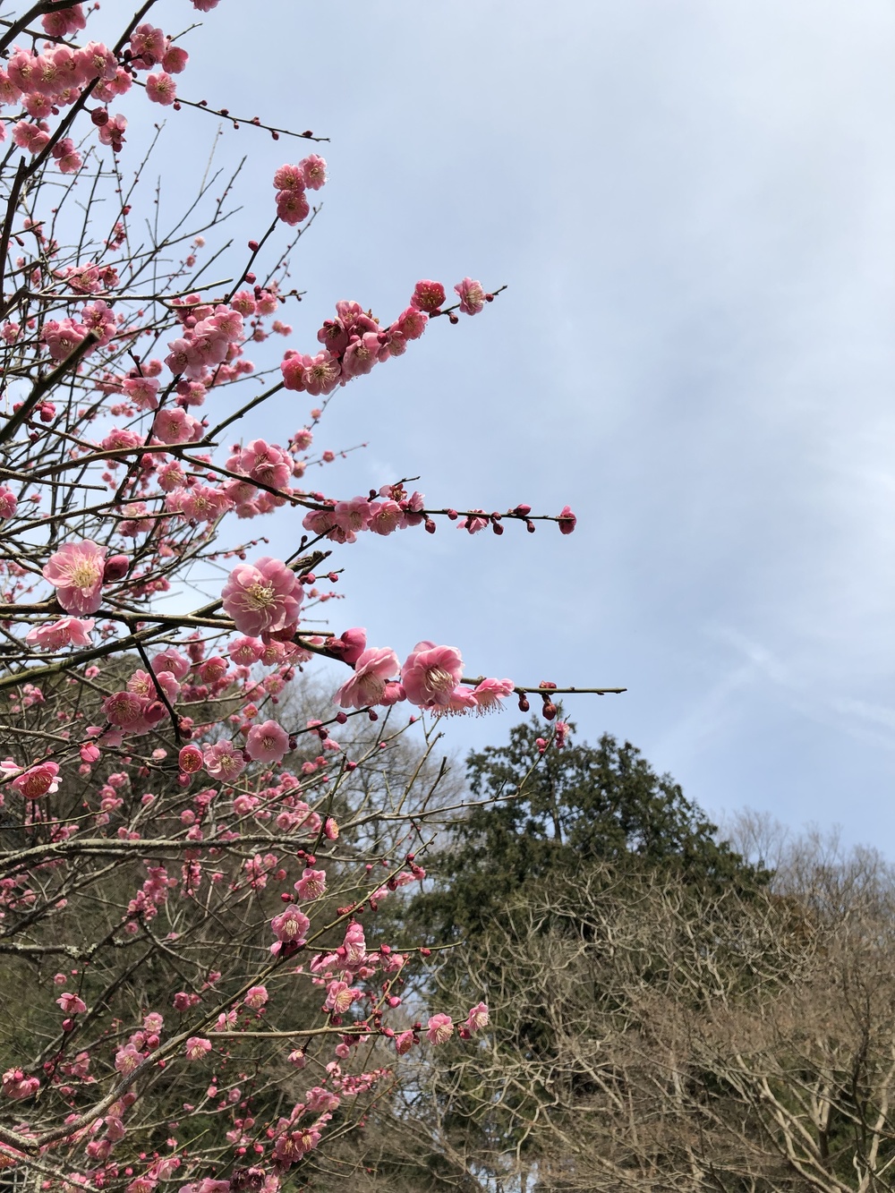 Runtrip TRAIL 鎌倉 ~冬のサンセットを見に行こう~の写真3