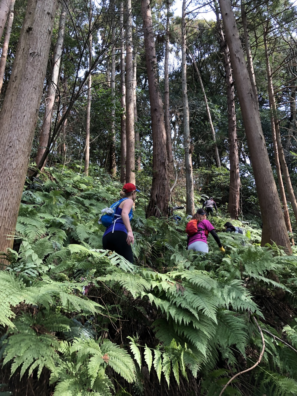 Runtrip TRAIL 鎌倉 ~冬のサンセットを見に行こう~の写真4