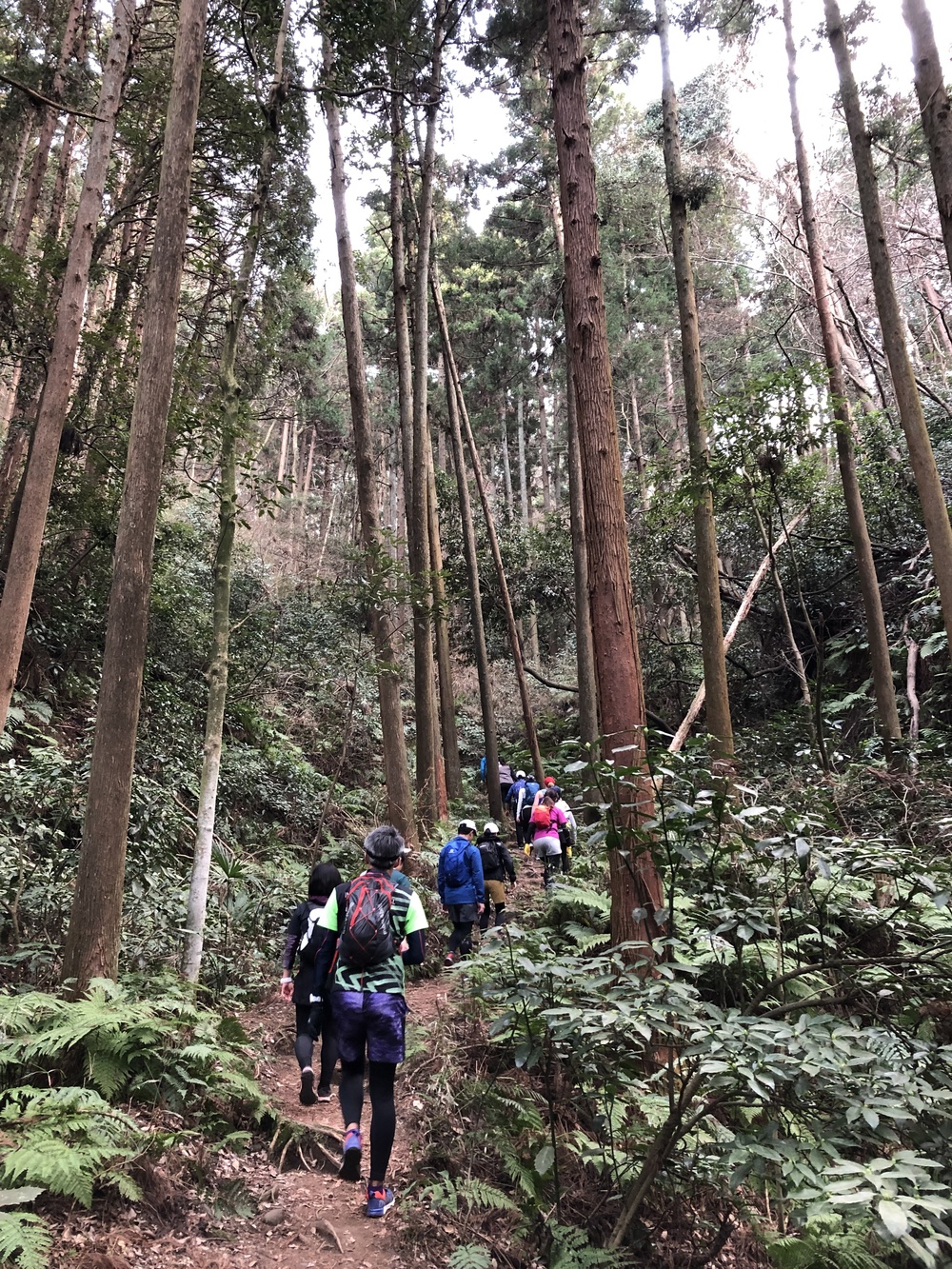 Runtrip TRAIL 鎌倉 ~冬のサンセットを見に行こう~の写真8