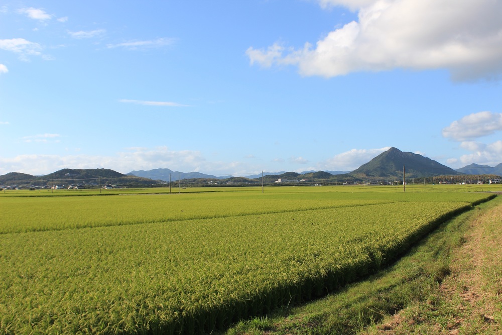 秋穂八十八ヶ所の一部を巡る寺と山と海コース【山口市秋穂】の写真3