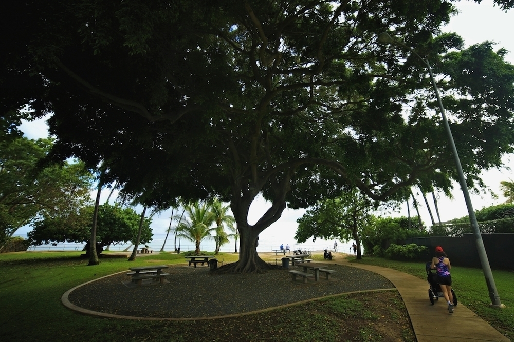 ワイキキバギーラン・おすすめコース③ カピオラニ公園付近の写真3