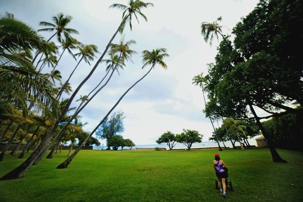 ワイキキバギーラン・おすすめコース③ カピオラニ公園付近の写真4