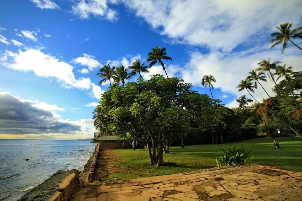 ワイキキバギーラン・おすすめコース③ カピオラニ公園付近の写真5