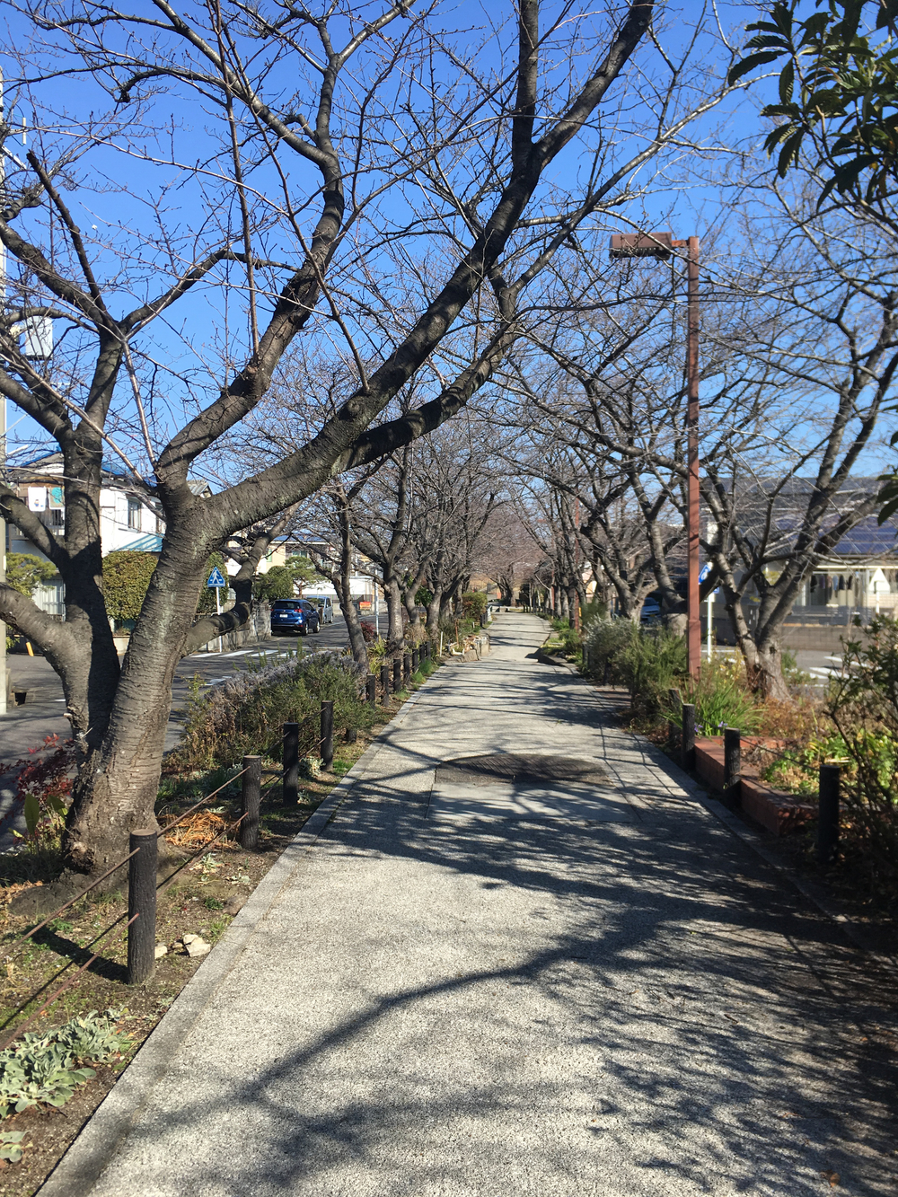 庄内川と木曽川を結ぶ20km！ラストは国宝犬山城へ‼︎の写真3
