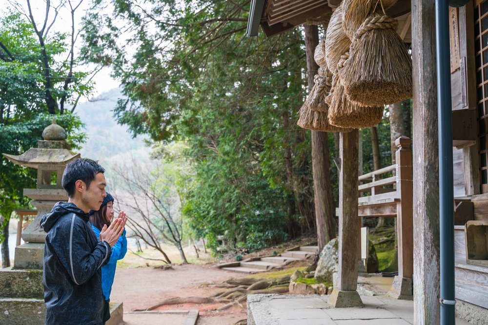 ブロッコリー神社（トトロの森）と川沿いの桜並木と田園を巡るコース【鳥取南部町】の写真3