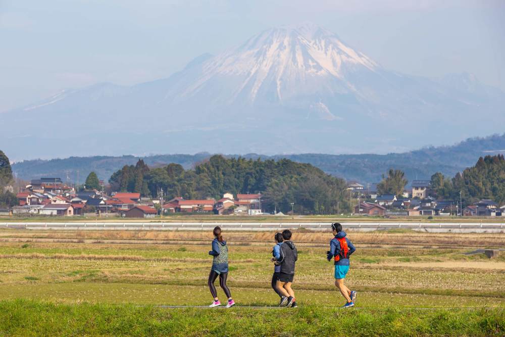 ブロッコリー神社（トトロの森）と川沿いの桜並木と田園を巡るコース【鳥取南部町】の写真4
